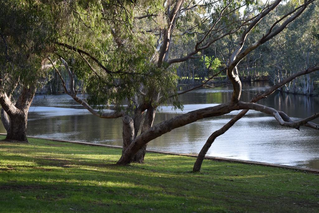 Bushy Lake Chalets Margaret River Екстер'єр фото