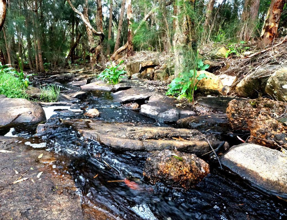 Bushy Lake Chalets Margaret River Екстер'єр фото