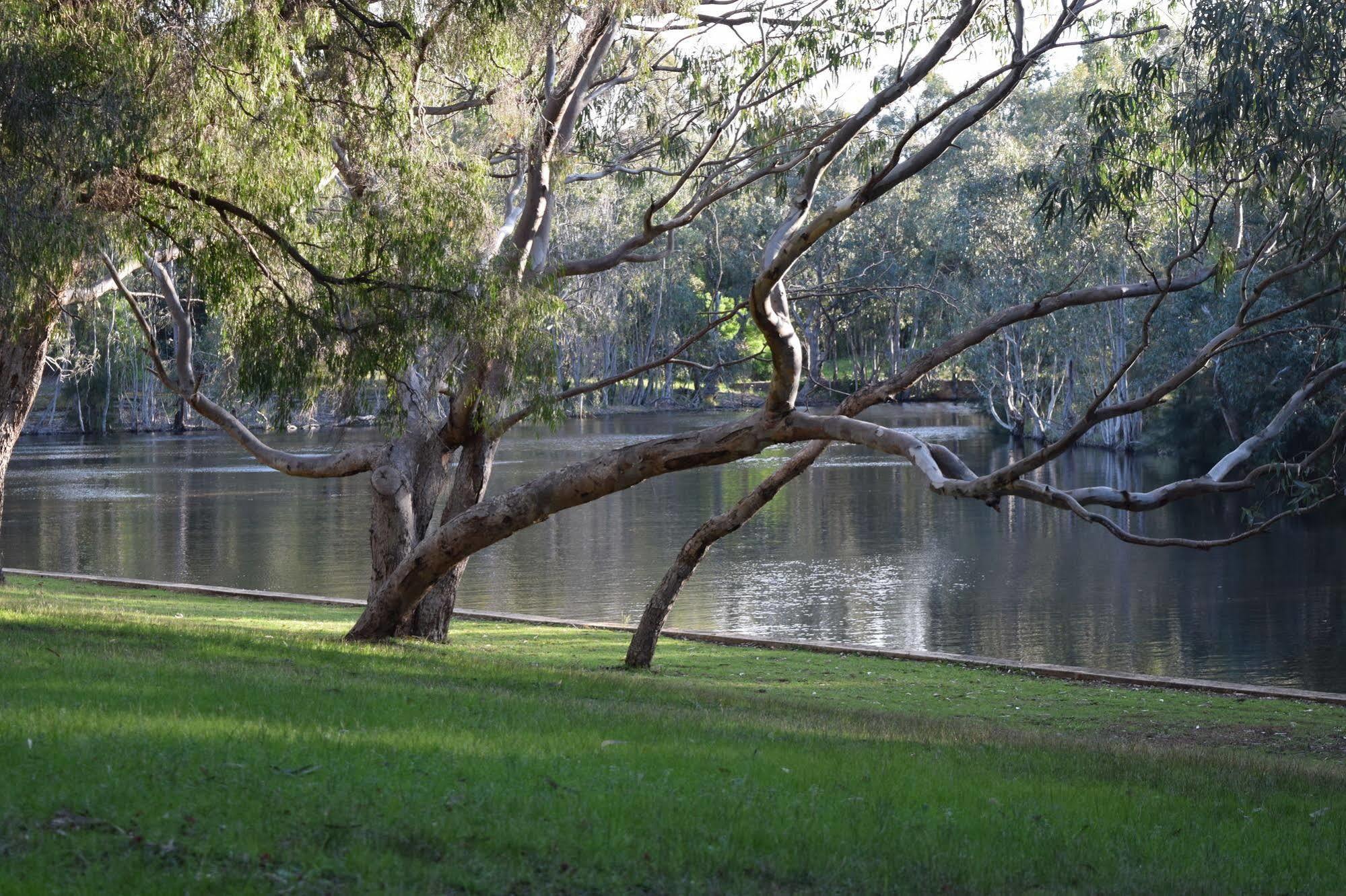 Bushy Lake Chalets Margaret River Екстер'єр фото